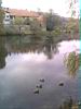 photo25.jpg